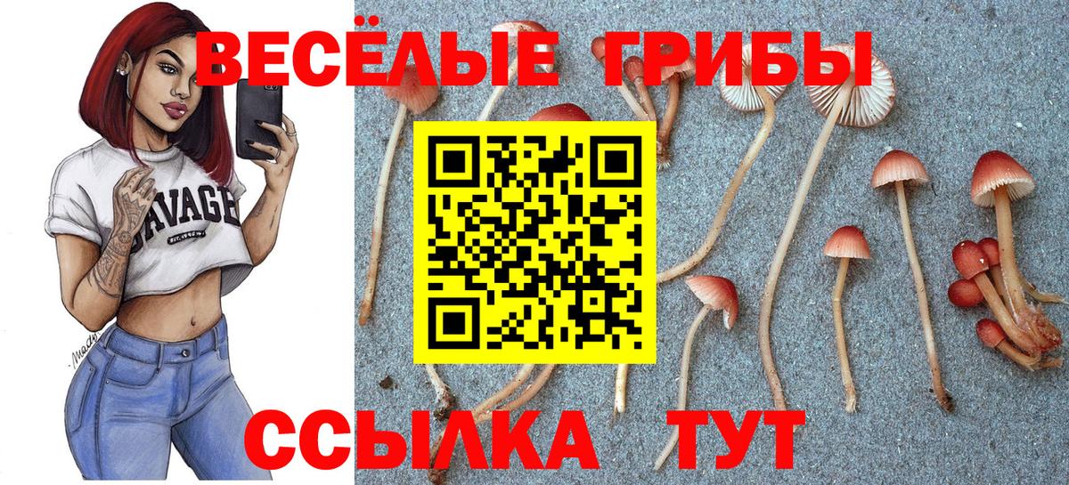 Меф МЯУ МЯУ  ТГК  ГАШИШ  Славгород  Вход с VPN  Меф МЯУ МЯУ кристаллы  Конопля  КОКАИН 