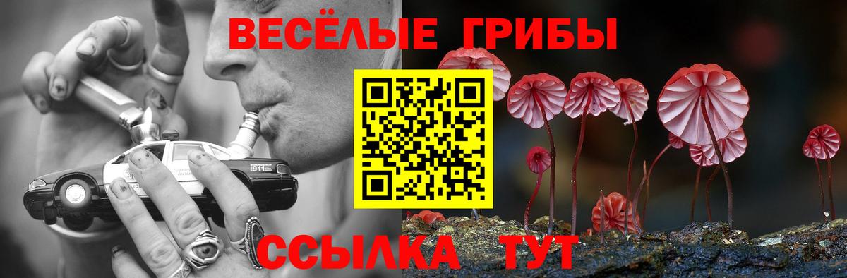 Галлюциногенные грибы мухоморы  Вход с VPN  Славгород  Псилоцибиновые грибы ЛСД 