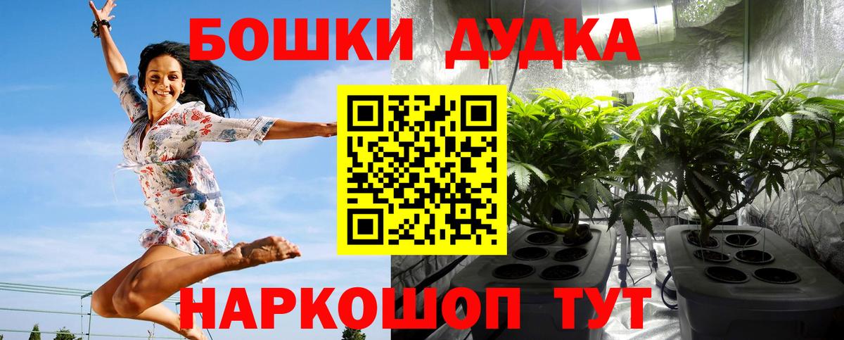Бошки Шишки White Widow Славгород
